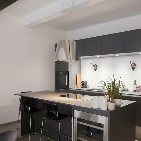 Luxurious Penthouse With Rooftop Terrace *